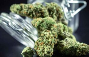 Cannabis-Flower-Fridley-Dispensary