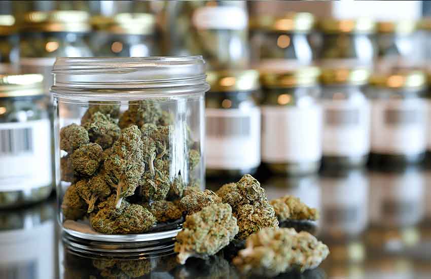 Premium Cannabis Flower at Ramsey Dispensary