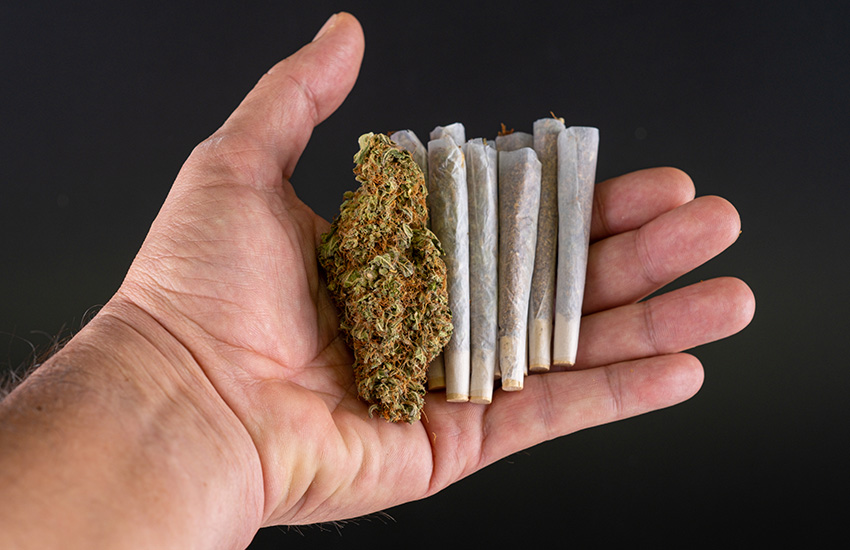 Premium Pre-Rolled Joints at High Ten Ramsey Dispensary